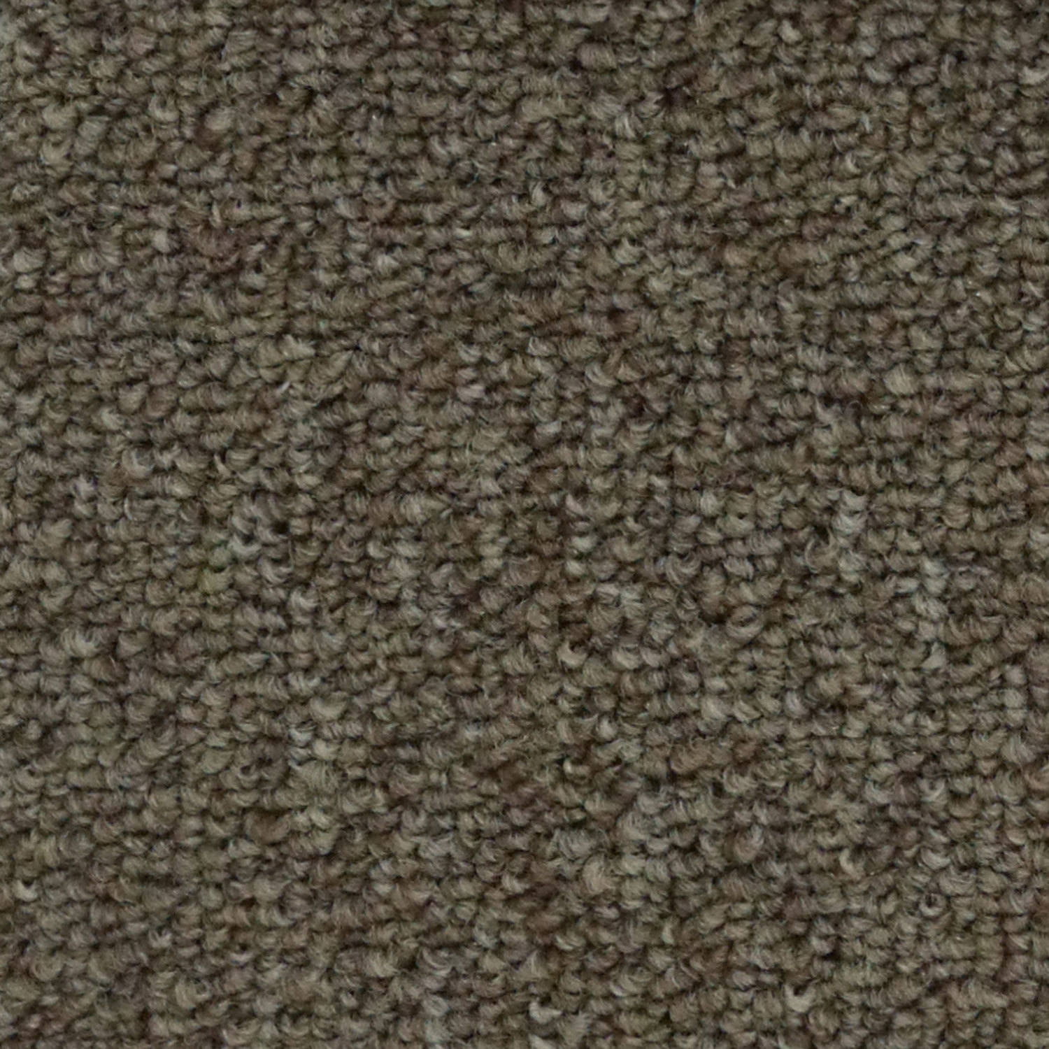 psp-carpetes-atacama-havana