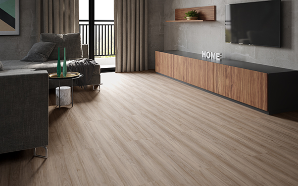 linha-link-san-andres-ambiente