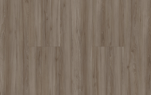 linha-link-san-andres-padrao