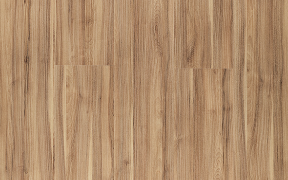 linha-link-tauari-ravena-padrao