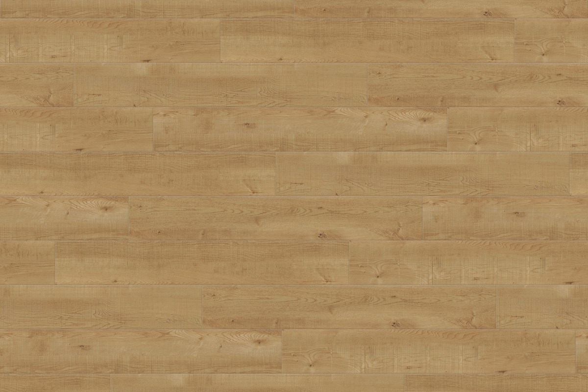 linha-basic-sacramento-padrao