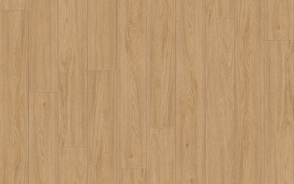 linha-nativa-manaus-padrao