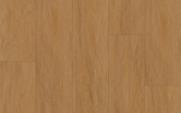 linha-nativa-santarem-padrao