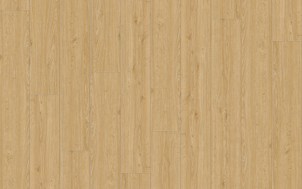 linha-nativa-vila-velha-padrao