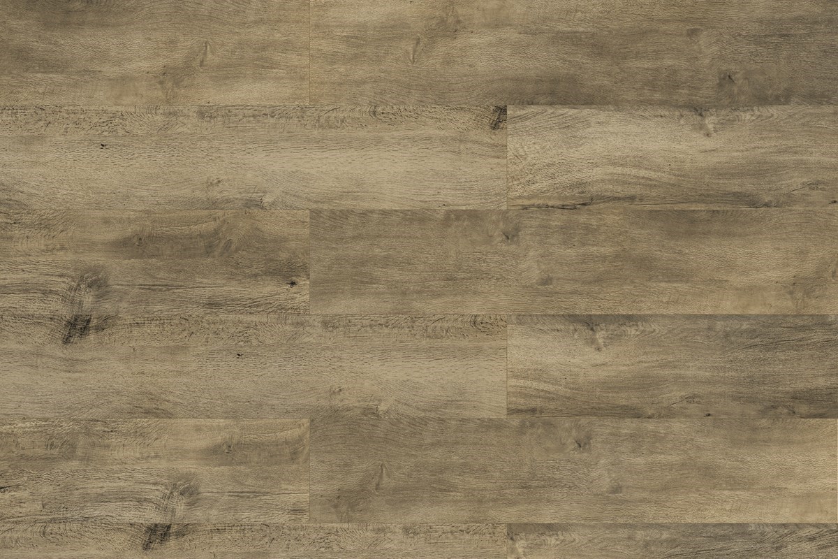 linha-working-florida-padrao