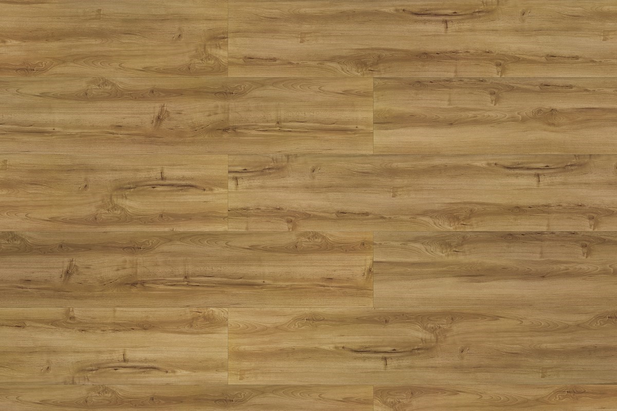 linha-working-texas-padrao